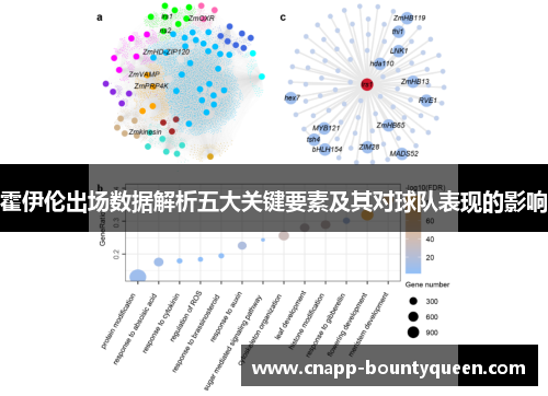 霍伊伦出场数据解析五大关键要素及其对球队表现的影响
