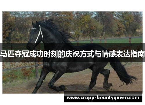 马匹夺冠成功时刻的庆祝方式与情感表达指南