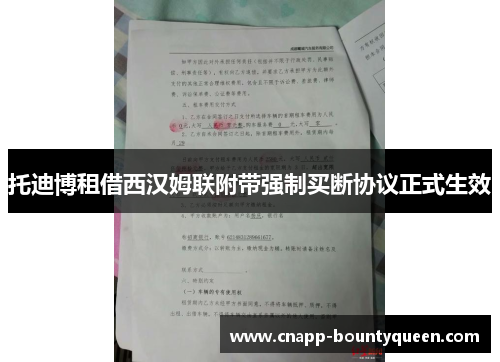 托迪博租借西汉姆联附带强制买断协议正式生效 托迪博租借西汉姆联附带强制买断协议正式生效