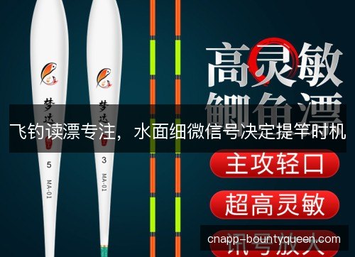 飞钓读漂专注，水面细微信号决定提竿时机